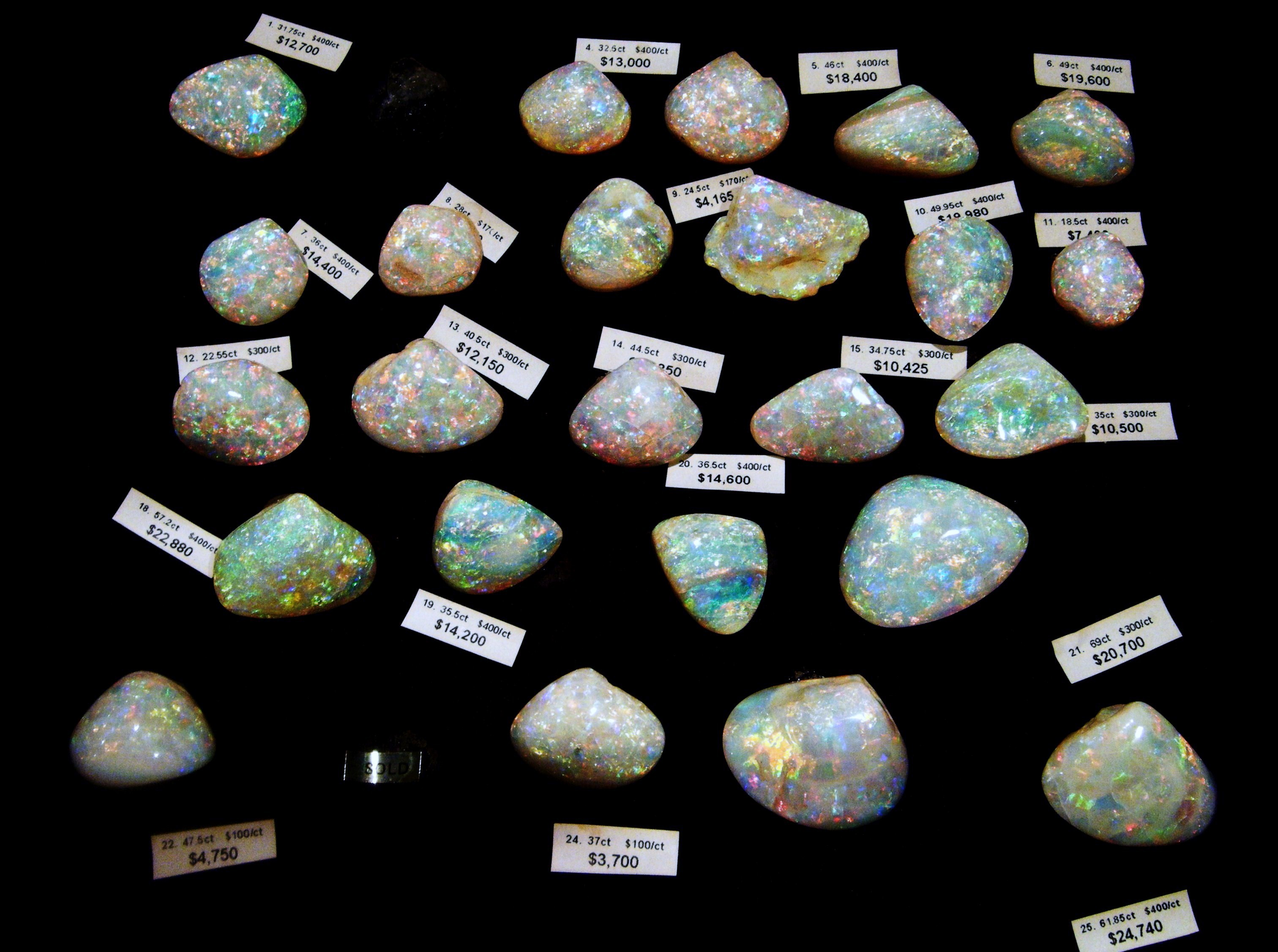 The Desert Sea Collection - Coober Pedy part of collection of opalised shells
