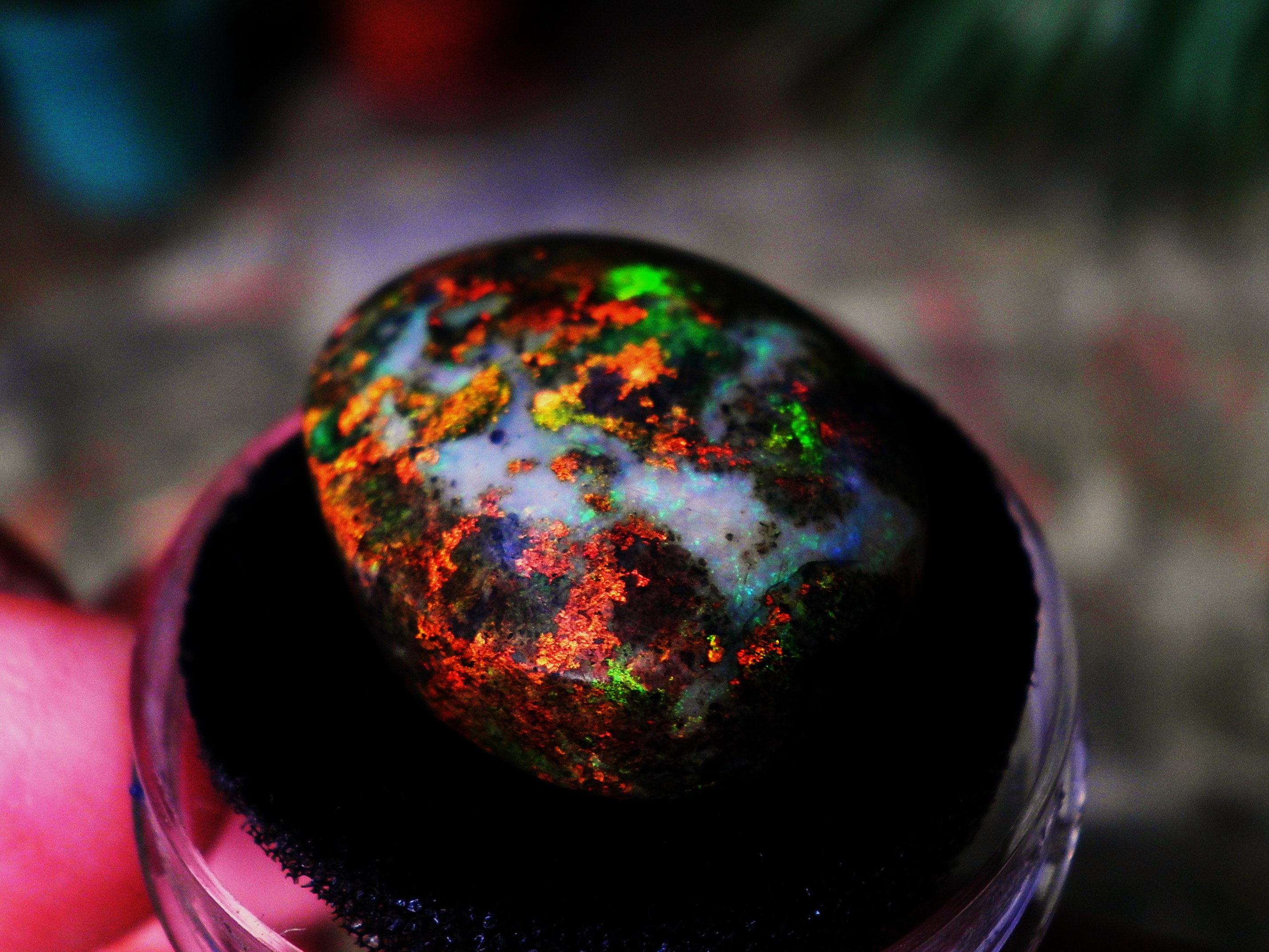 Final view of Andamooka Matrix Opal showing all of the colours