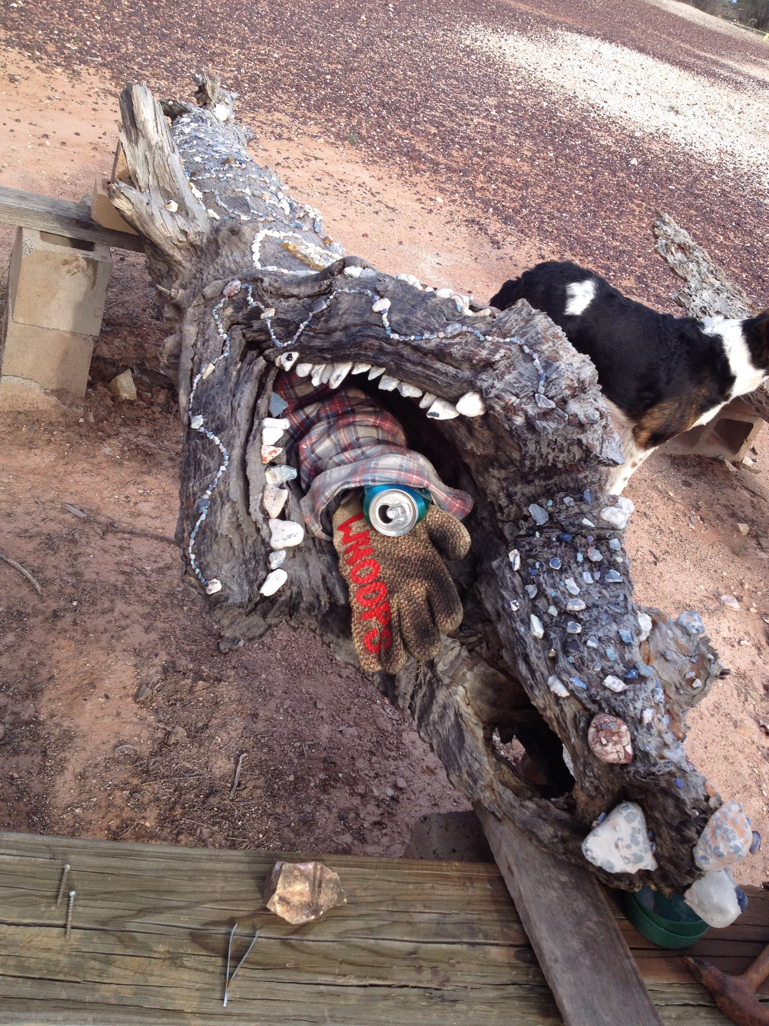 IMG_5103 Crocodile sculpture at Richard Athens Camp